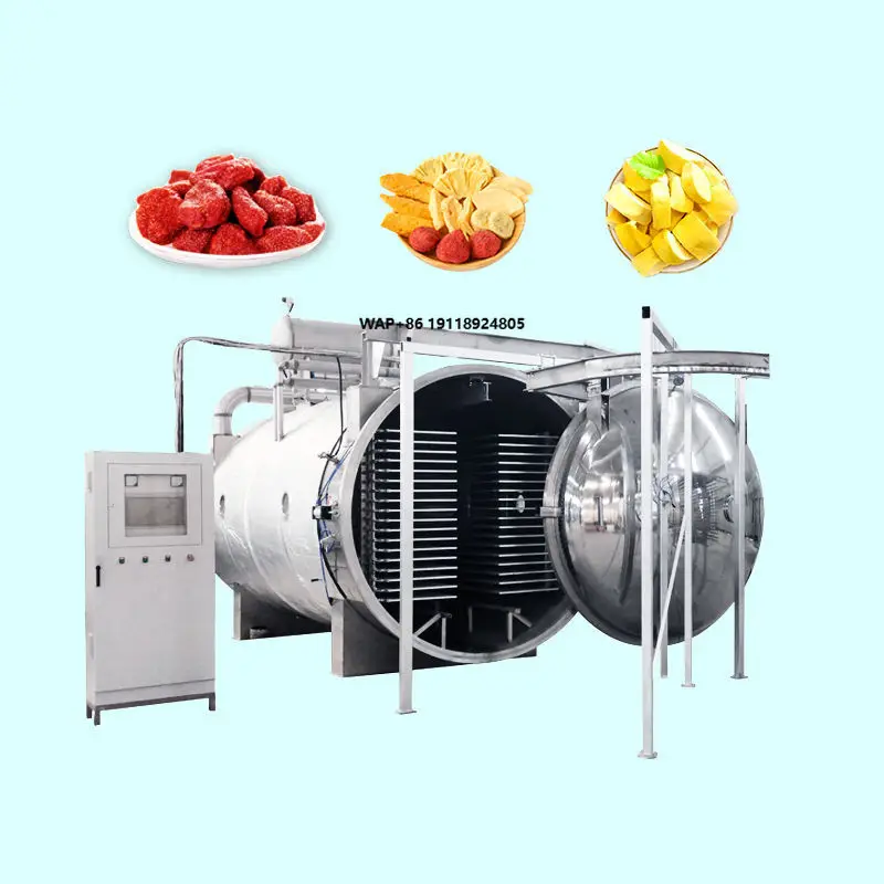 Hot Sale Stainless Steel 304  Durable Fruit Lyophilizer Freeze Drying Machine for  Vegetable