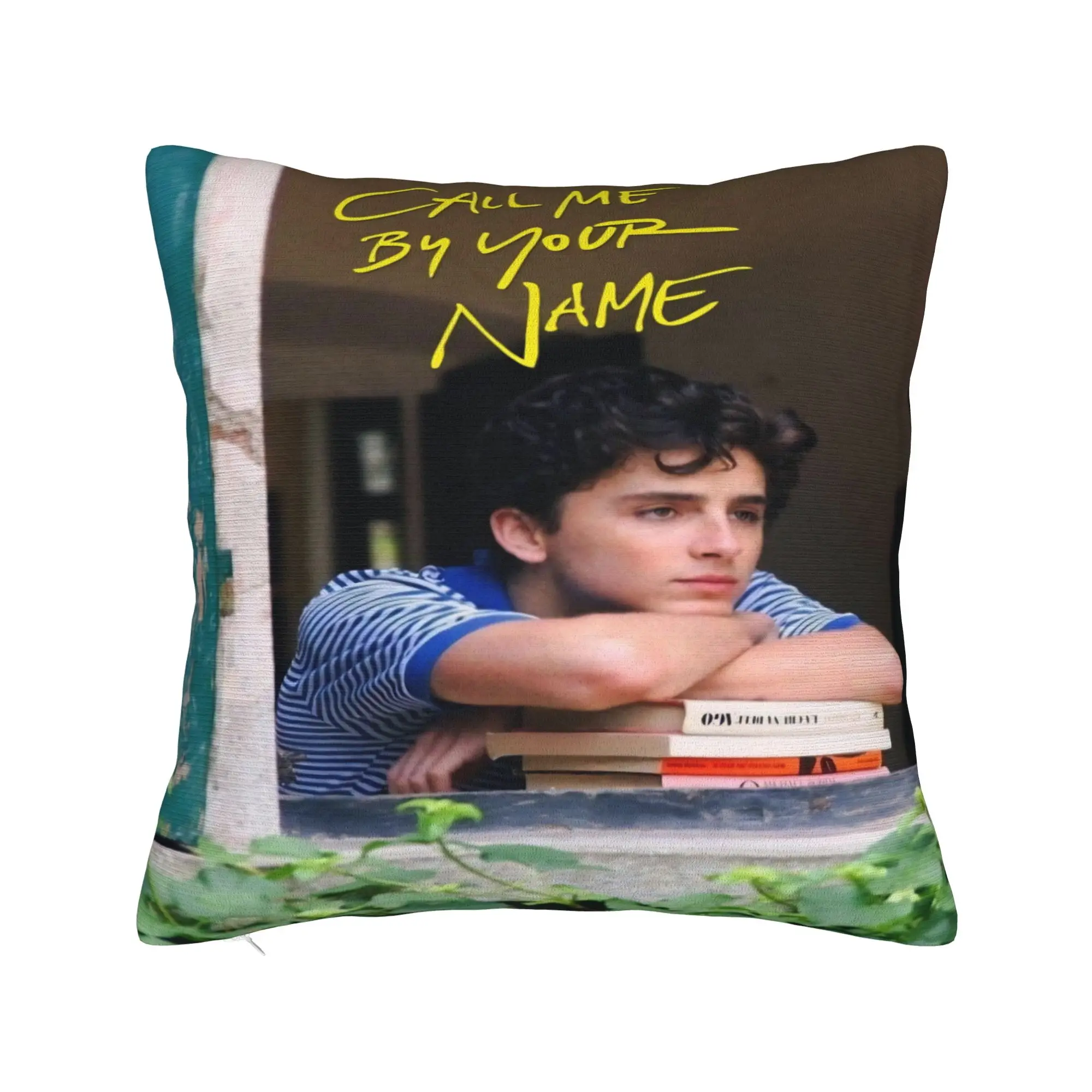 Call Me by Your Name Printed Pillowcase Cushion Cover  Pillow Covers New Style Seat Decor Square Multi-Size