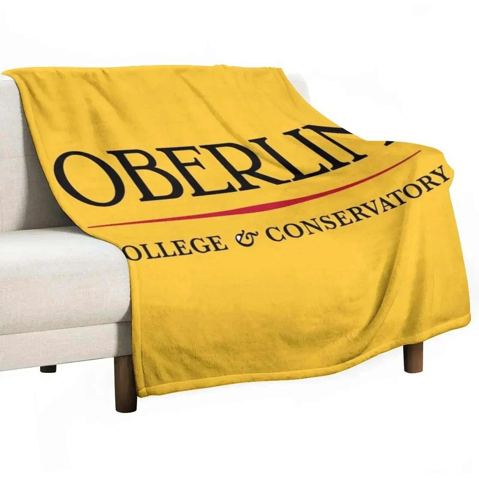 The Oberlin Throw Blanket Plaid on the sofa Beach Blankets