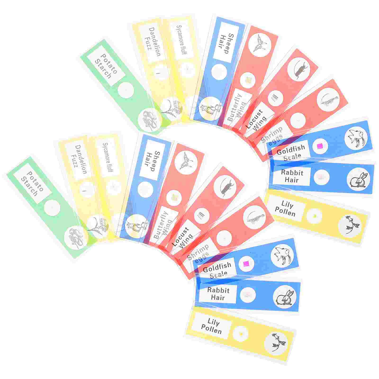 36 Pcs Microscope Slide Plant Slides Stereo Glass Gift for Kids Plastic Prepared