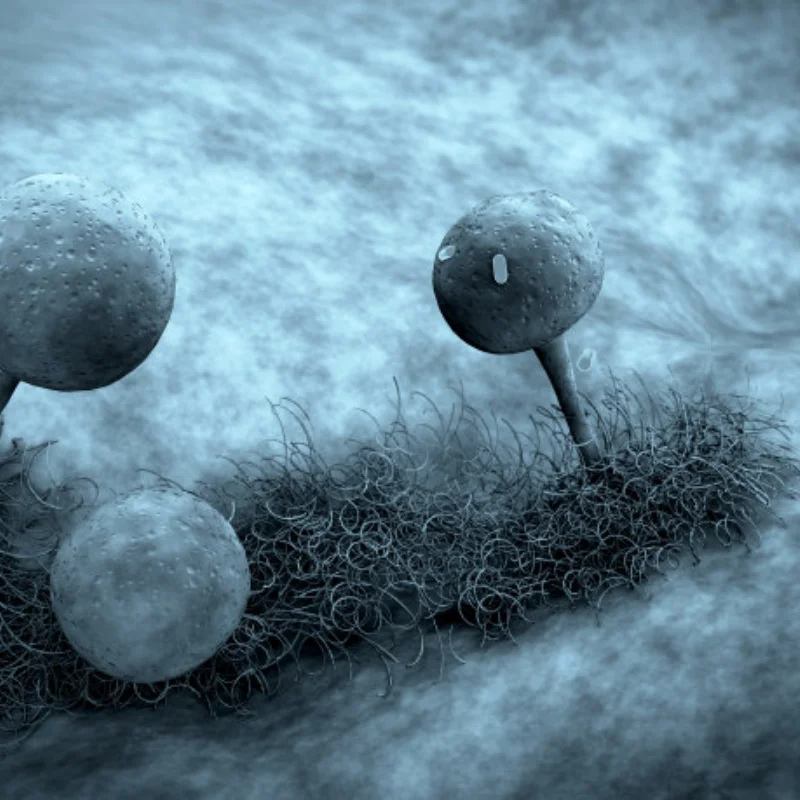 

4 шт., 90 мм, колеса для багги Monster Truck, шестигранное колесо 12 мм для TRXS E-Revo MJX 16207 16208 SCY 16101 HBX 1/16, детали для обновления радиоуправляемого автомобиля