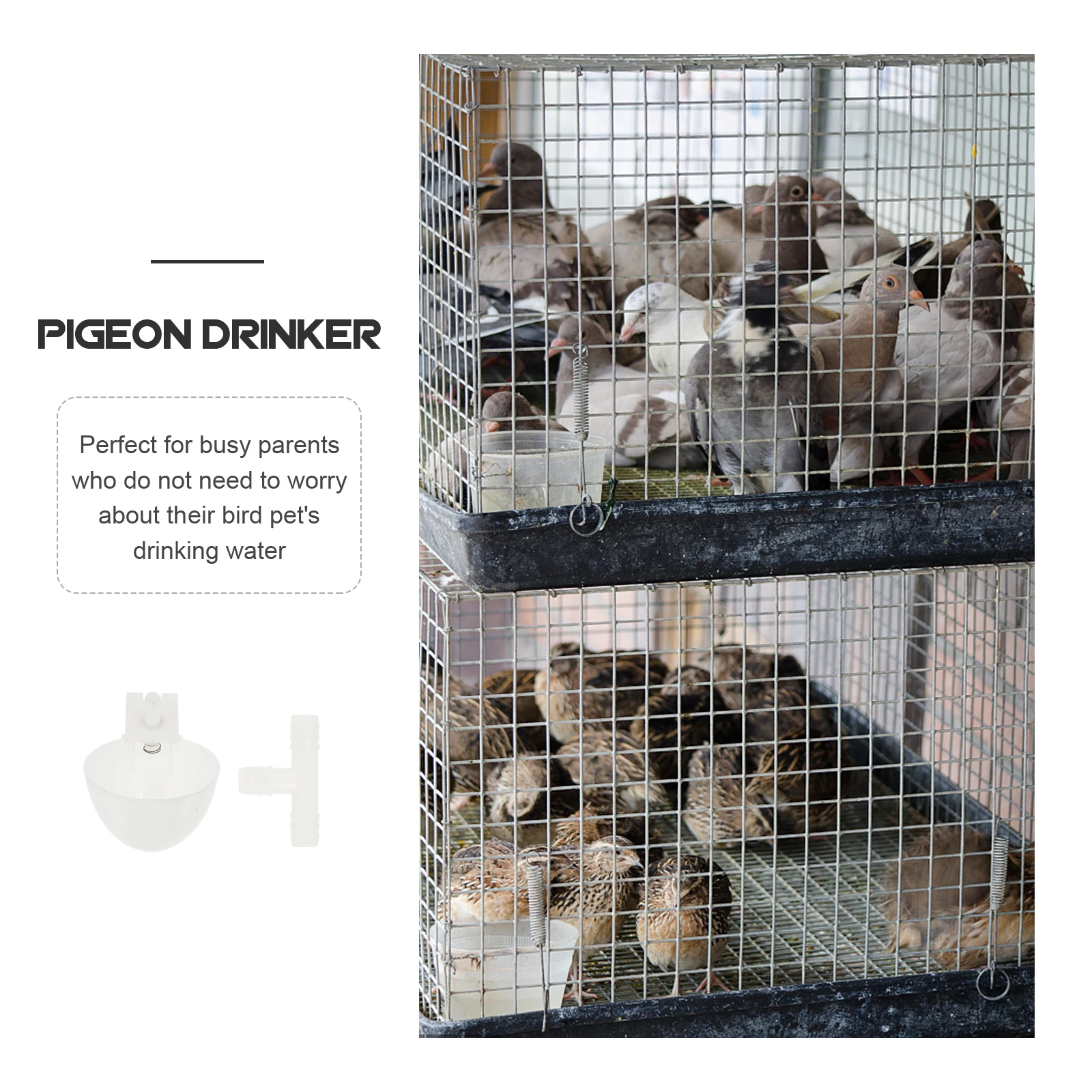 

Pigeon Drinker Capacity Durable Plastic Automatic Bird Waterer Supplies Home Use Long Home Pigeon Drinker Storage For Pets