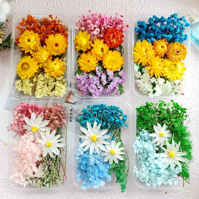 

Natural Dried Flower Daisy Hydrangea Set DIY Floral Materials Epoxy Resin Candles Artificial Plants Dried Real Flowers Decor