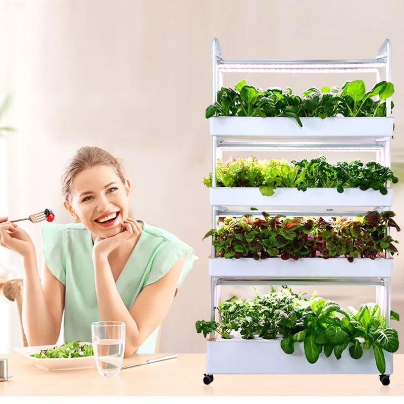 Home Mini Plant Box Kit with Motor & Pump for Growing Herbs and Vegetables Hydroponic System Indoor LED Grow Light