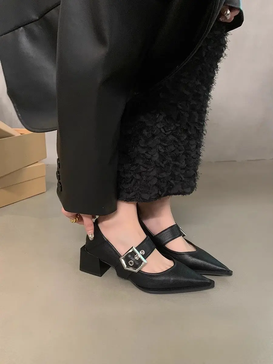 

Vintage Women Mary Jane Pointed Toe Dress Shoes Korean Style French Thick Heel 2026 Spring New Collection Classic