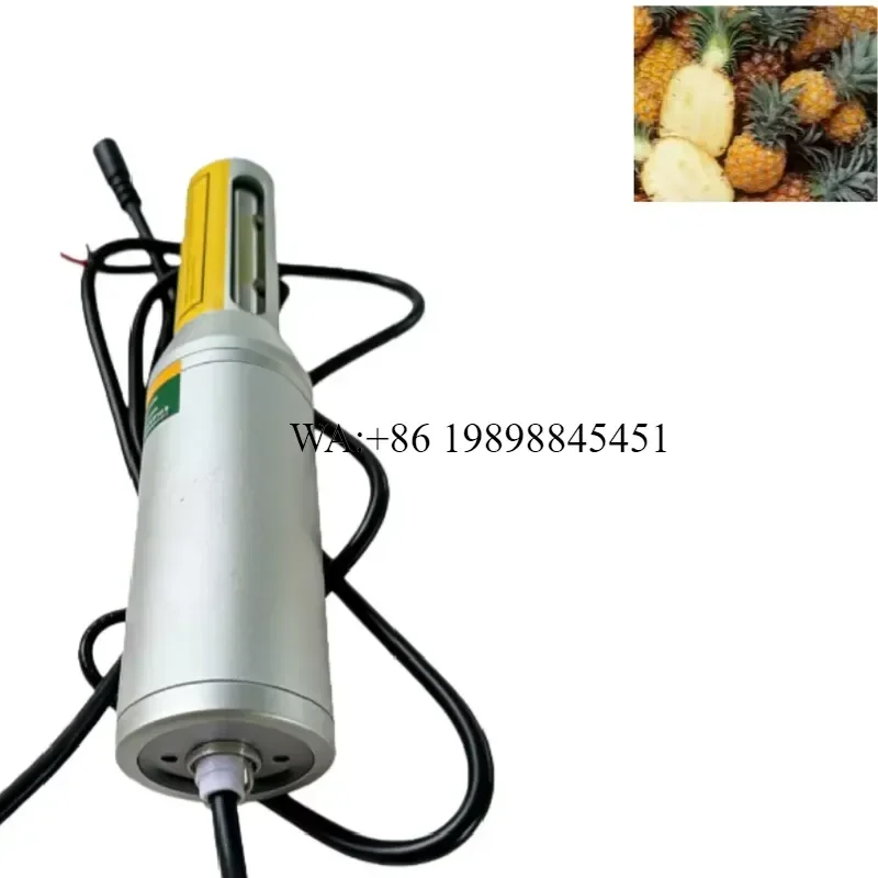 WMWMNU Commercial Fruit Peeler for Pumpkin Coconut Pineapple Vegetable Removal Industrial Food Processor