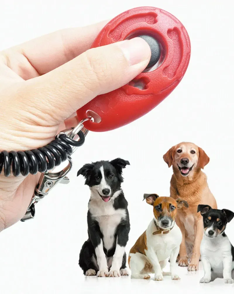 Haustier-Trainingsklicker mit Handschlaufe, Einstellbares Ton-Trainingsgerät für Hunde, Katzen, Vögel, Pferde, Tragbares Schlüsselanhänger-Design – Detail 1