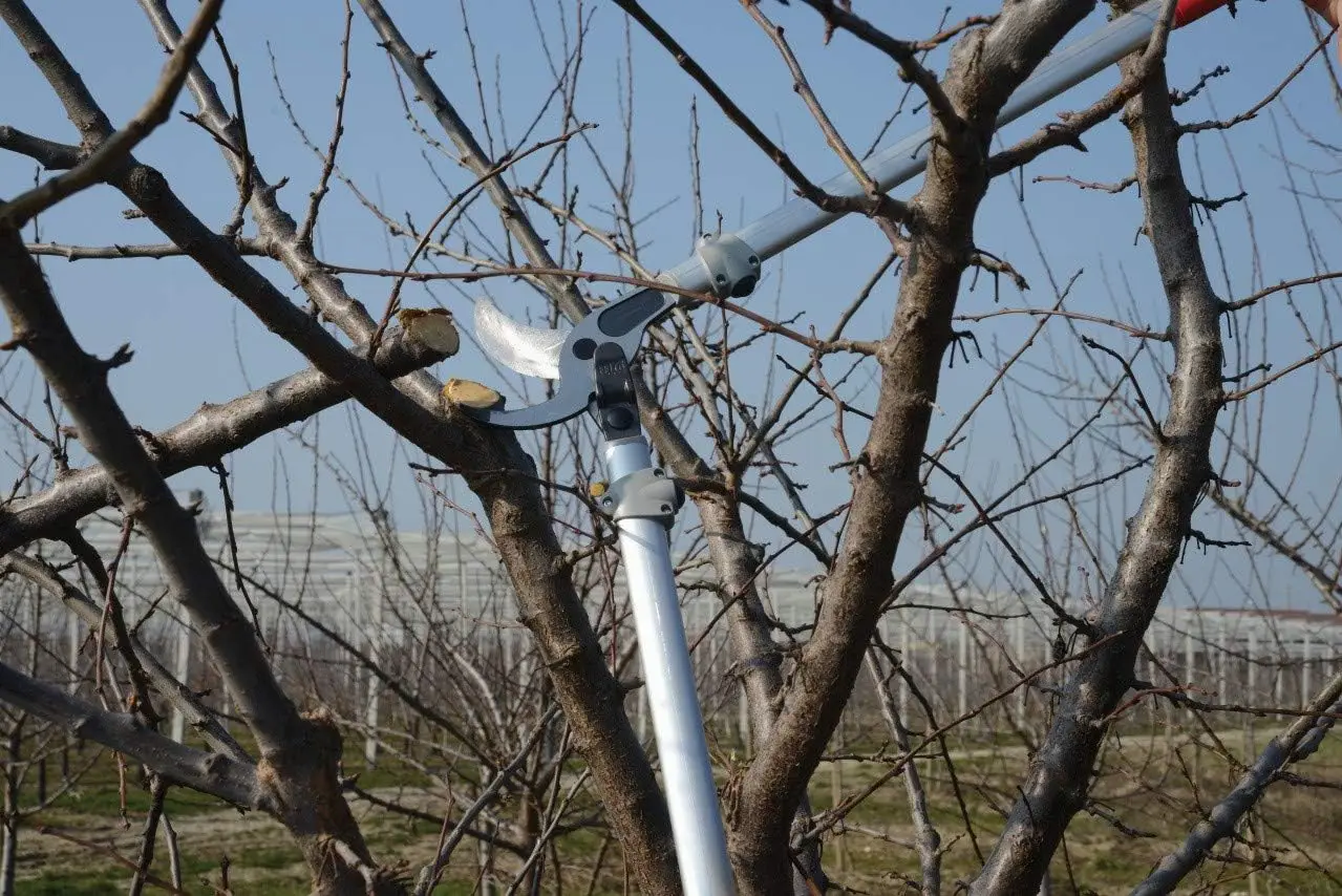 Loopper de duas pessoas, vermelho, 220, 1,57 polegadas
