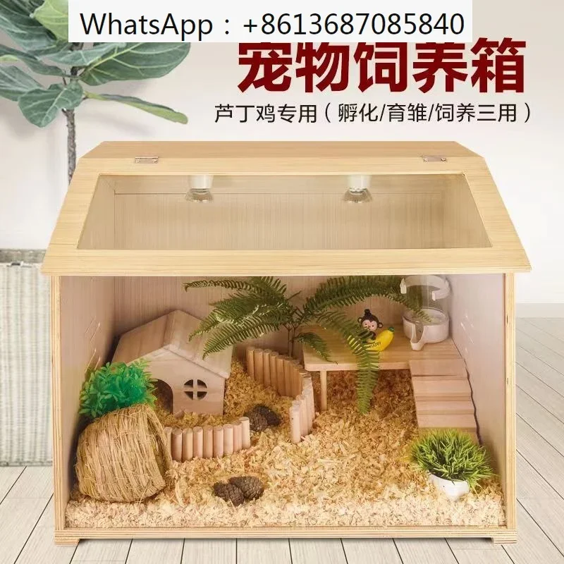 Rutin Chicken Feeding Box Cage Breeding Culture Box Special Pet Bed Hamster Corluding Chicken