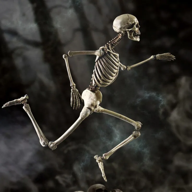 

COOMODEL BS011 1/6 The Human Skeleton Metal Body Figure Model 12'' Action Figure Doll Toy for Collection In Stock