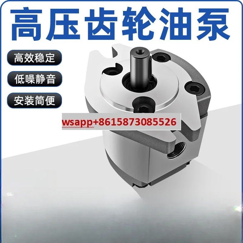 

High Pressure Gear Pump HGP-1A-F1R HGP-1A-F2R HGP-1A-F3/4/5/6/8R Hydraulic Gear Pump