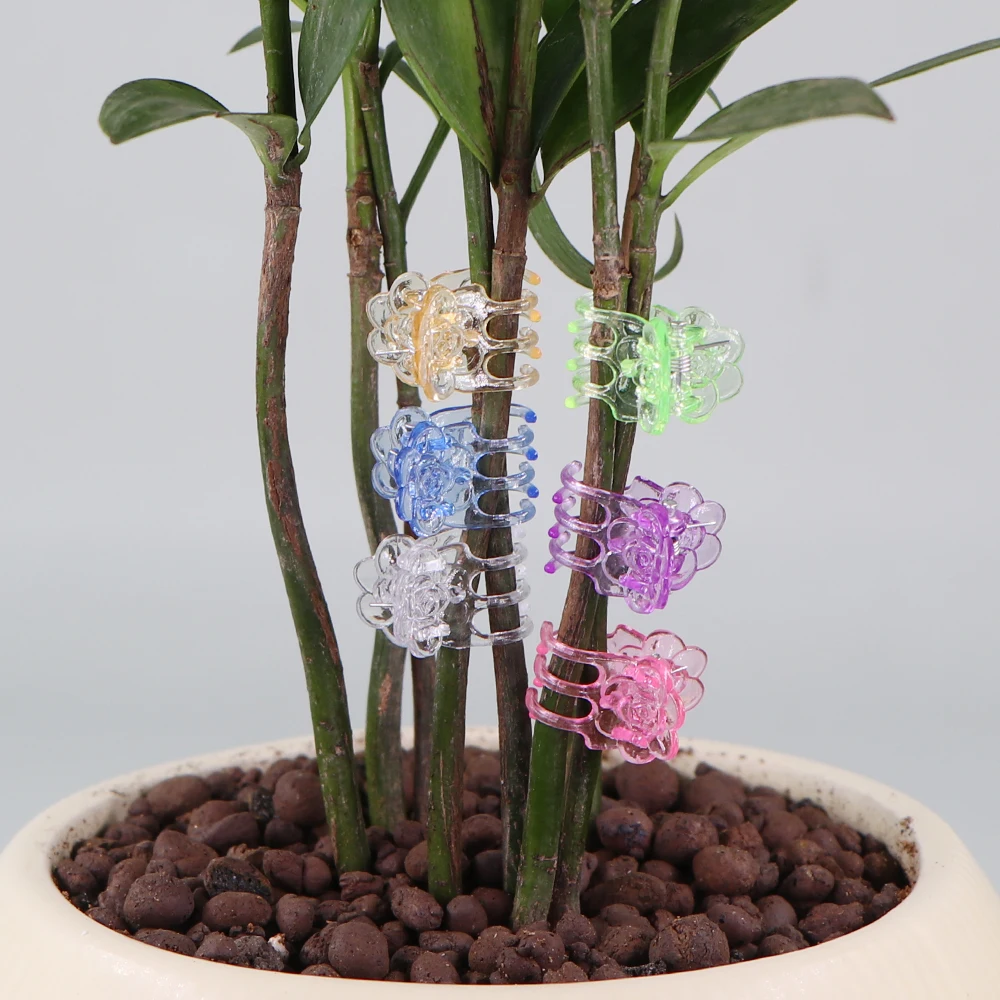 20-500pcs 6-color 6-Claw Plastic Plant Clips Orchid Flower Support Clamp Clasp Tied Bundle Branch Climbing Vine Stem Garden Tool