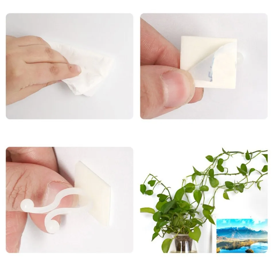 

100Pcs Invisible Plant Climbing Wall Clip Sticky Hook Vines Fixing Clips Reliabl Vine Green Climbing Wall Holder