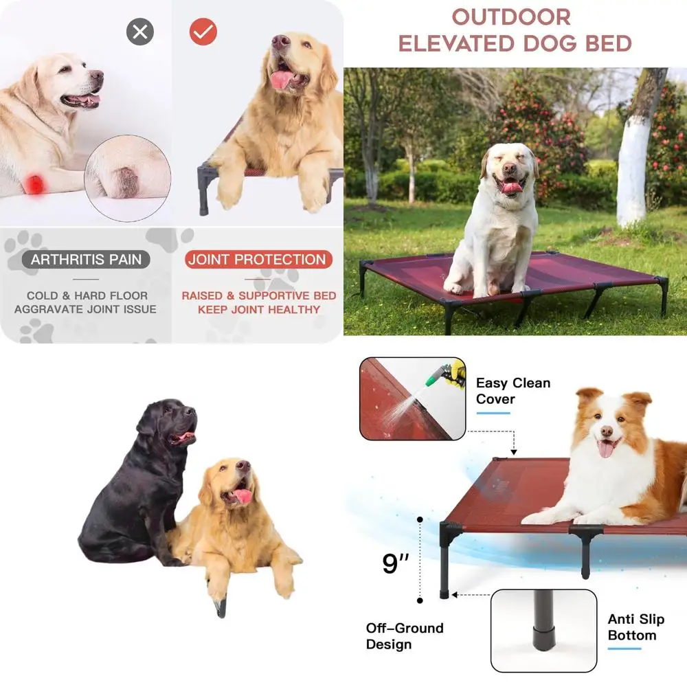 

Medium-Sized Waterproof Portable Outdoor Dog Bed, Raised Easy Clean Bed for Indoor/Outdoor Use, Red