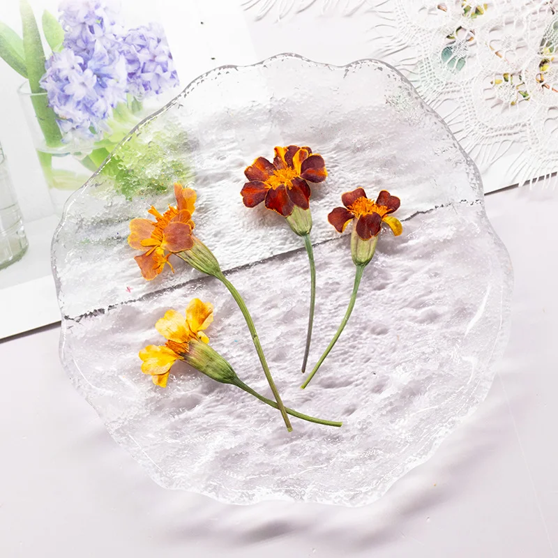 100 Stuks Goudsbloem Echte Blo - Dried Flower Pressed recensie en prijs