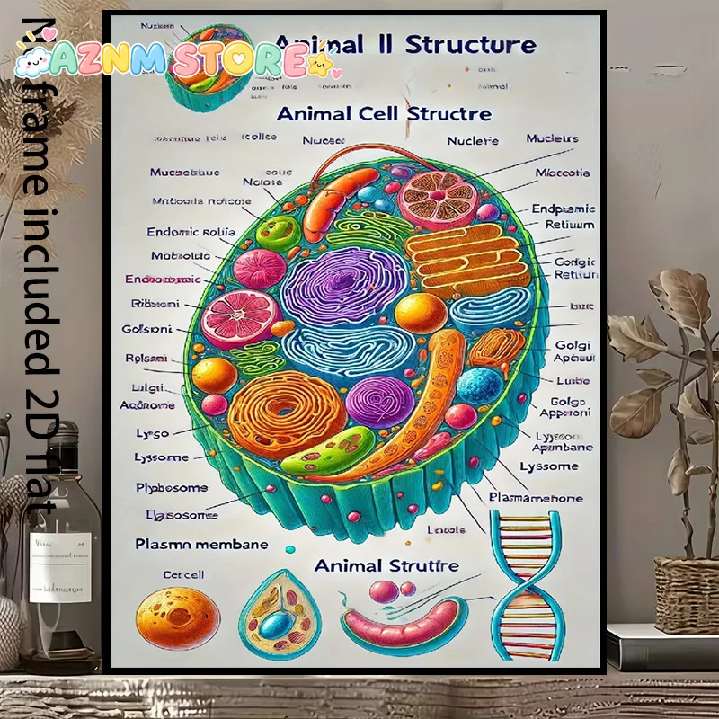 2027, , []  Decorative Canvas Painting Animal Cell Structure Canvas Art: Detailed Illustration of Nucleus, Mitochondria, Endo
