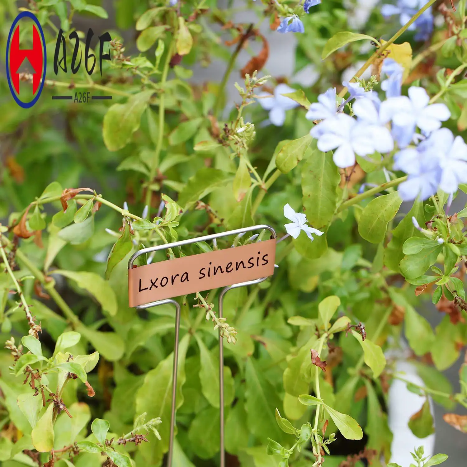 

A26F-30 упаковка, 10-дюймовая медная пластина, металлические этикетки для растений, садовые колья, бирки, многоразовые маркеры для посадки и сада