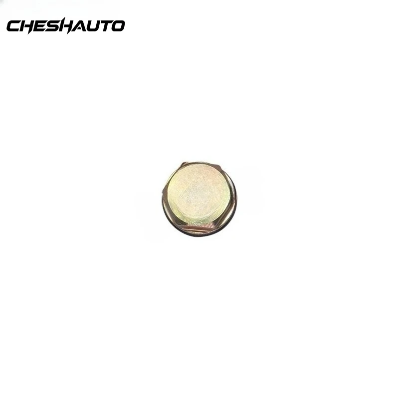 1110010022 Common Rail Pressure Relief Valve for Iveco EuroCargo Car Auto Part 2854543 42562997 04088436 51103040278 3