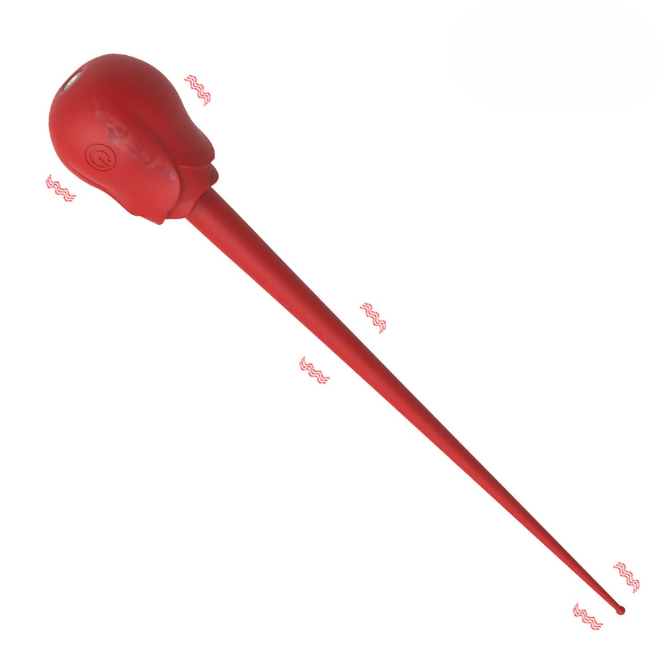 Rose Silicone Electric Male Sexual Vibrator 10 Speeds IPX6 Waterproof For SM Pleasure. Couples Can Share This USB Rechargeable