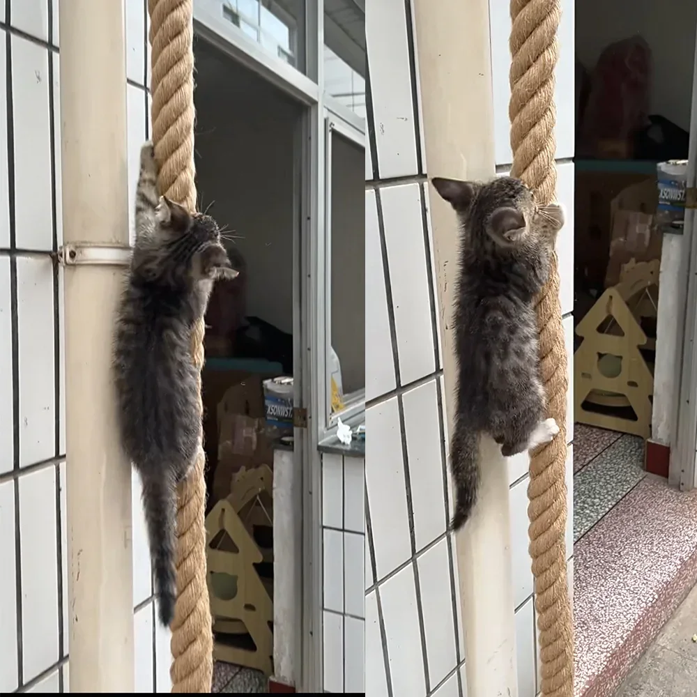 Cat Climbing Rope with Hook Ceiling Wall Mounted Kitten Scratching Post Climbing Rope Toy, Suitable for Indoor and Outdoor Cats