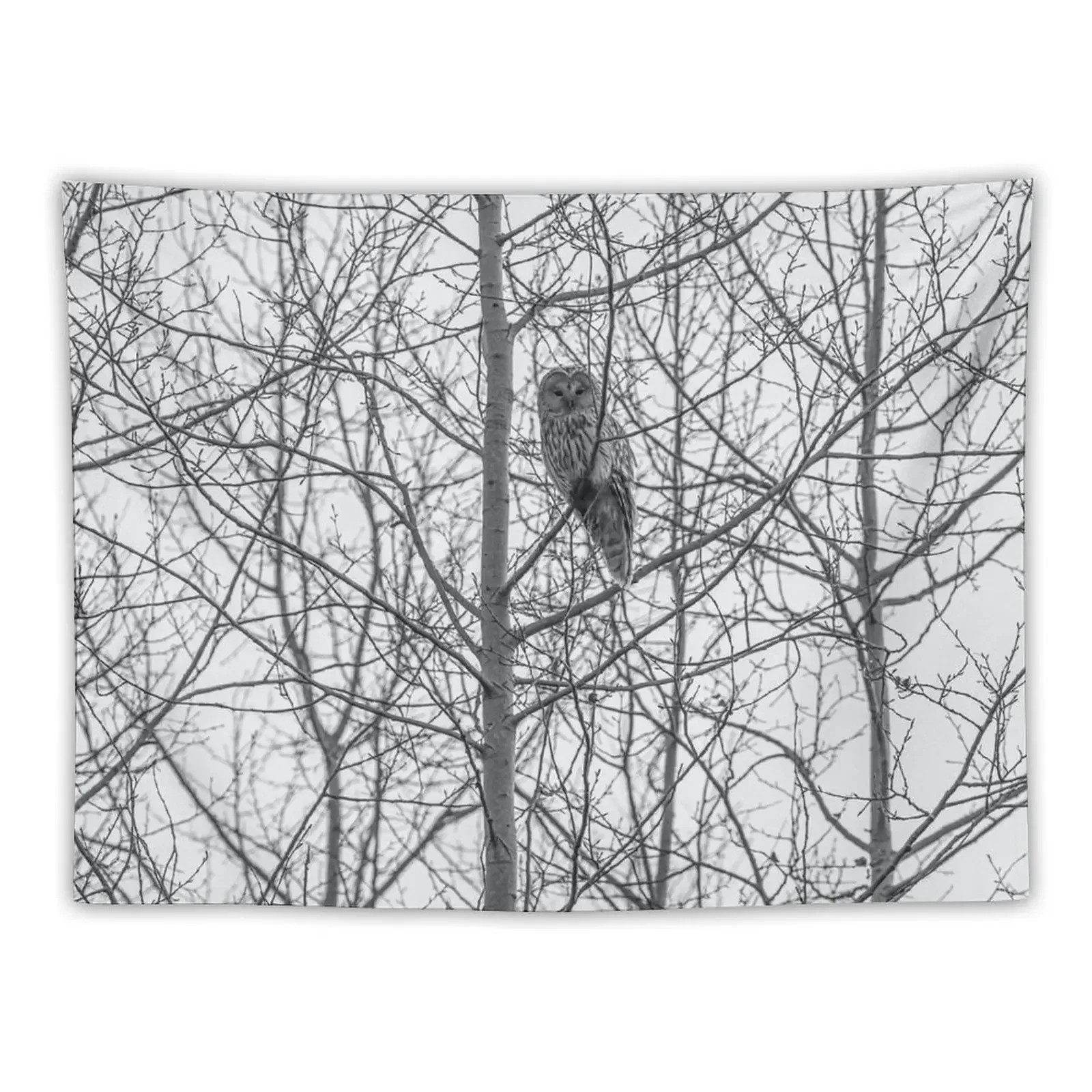 

WHITE OWL ON A WOODLAND FOREST Tapestry Decor For Room Aesthetic Room Decor Korean Tapestry