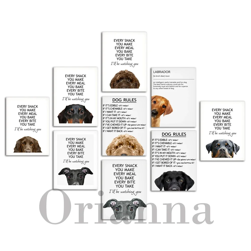 Dog Rules Red Fox White Labrador Cockapoo Black Greyhound Cocker Spaniel Funny Pet Wall Art Canvas Prints Posters Decor Painting