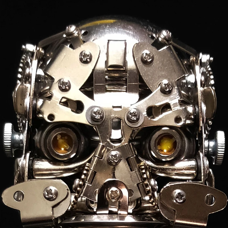 200pcs+ Metal Assembly Skull Head Model Kit Toy 3d  High Difficulty Mechanical Puzzles Metal Assembly Toys for Kids Adults