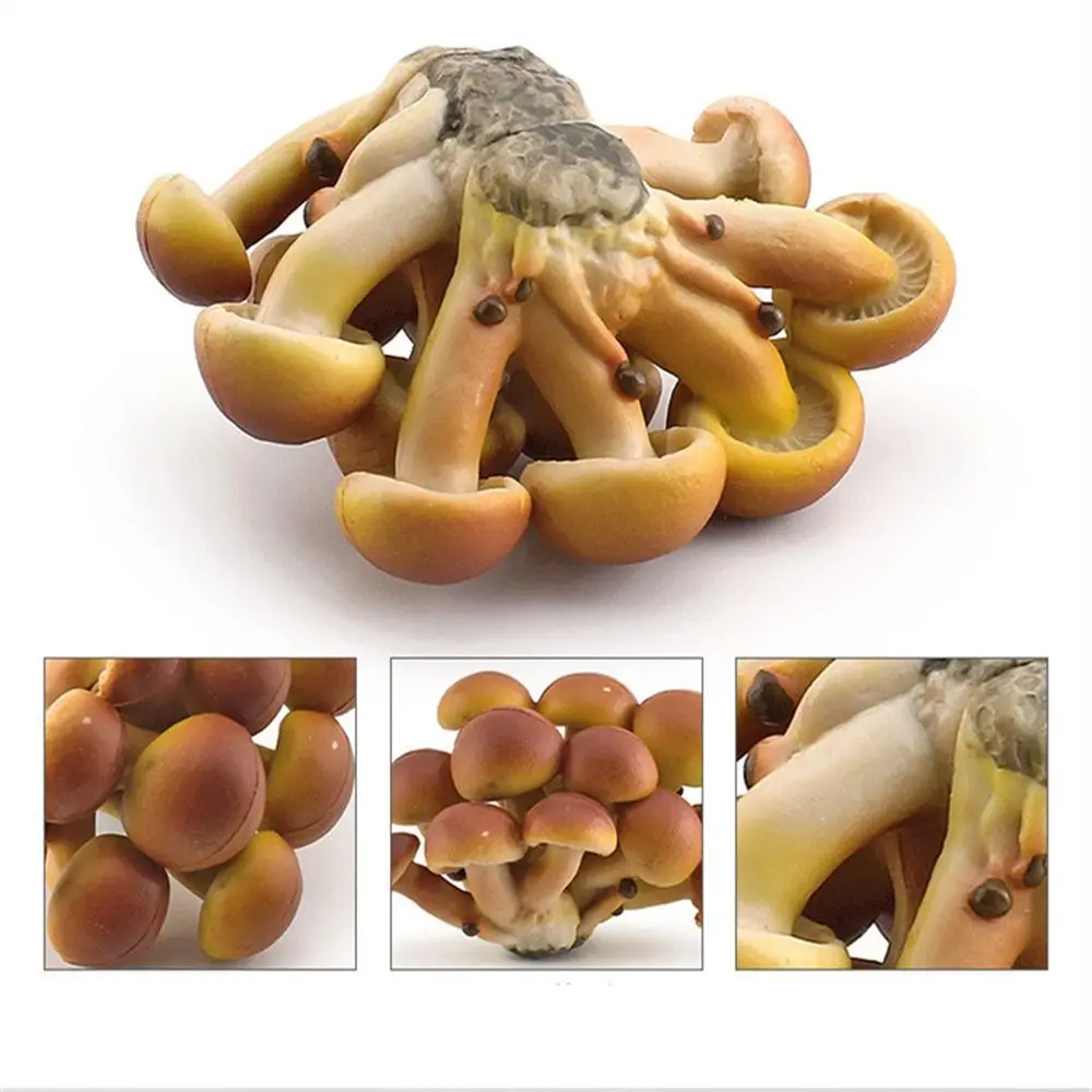 Vegetable Model Fungus Figurines Matsutake Oyste Artificial Simulation Mushroom Landscape Miniatures