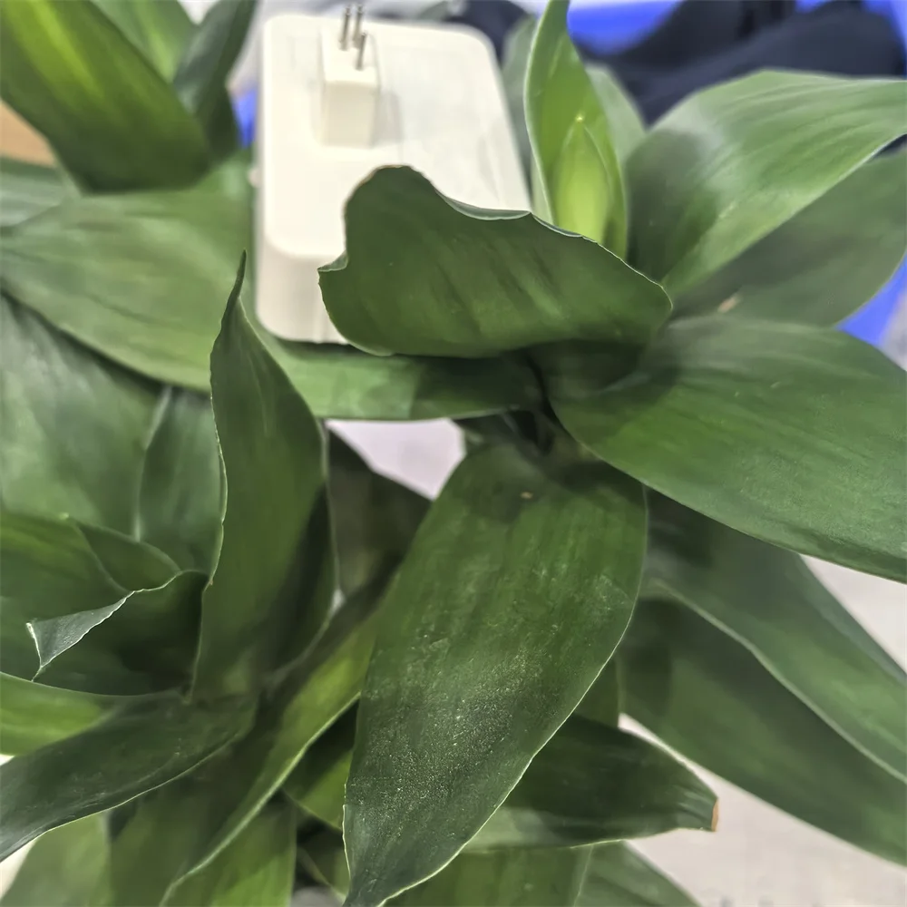 

T11G T11F T11E T11C T11D Ink Cartridge Chip Resetter Compatible for Epson WF-C5890 C5390 PX-S887 PX-M887f Series chip Resetter