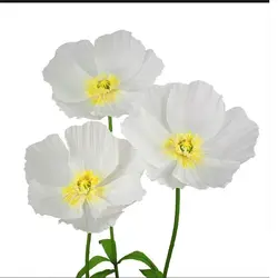 wedding background decoration with large paper flowers, flower simulation flowers, wedding party decoration supplies