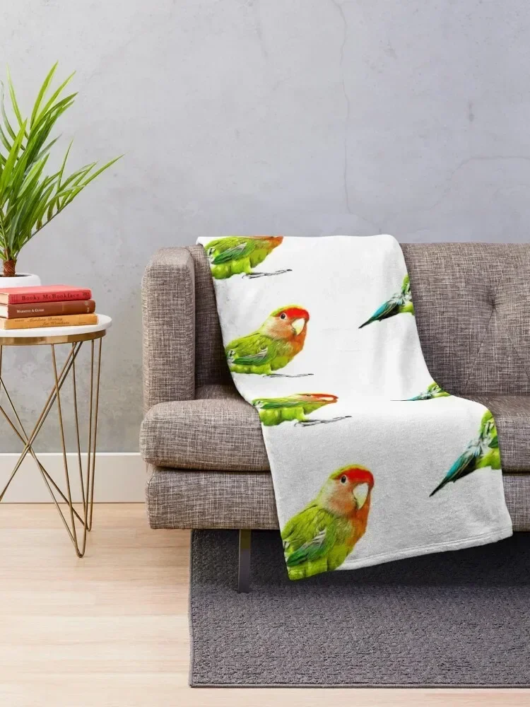 Love Birds Peachface Lovebird Throw Blanket Luxury Brand Beautifuls manga Blankets