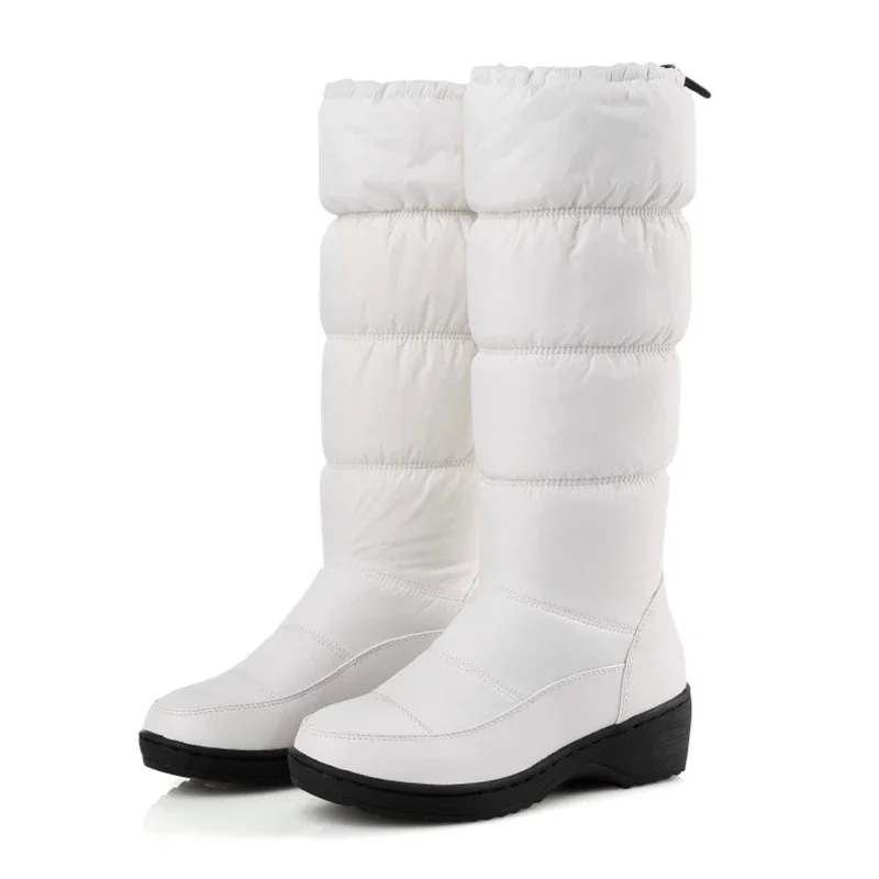 2025 Winter Women D… - image