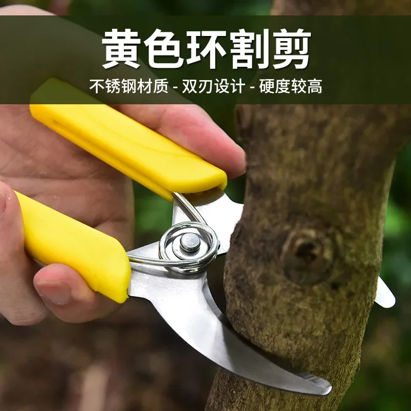 果樹剪定ばさみ,ステンレス鋼,剪定ばさみ,樹皮の皮むきはさみ,園芸工具