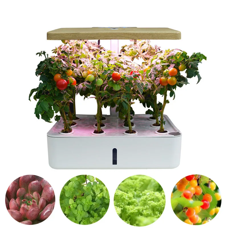 Smart Hydroponic Kits with LED Lights, Indoor Intelligent Planting, Lettuce, Tomato, Flower, Fruit at Home, Office, 12 Plants