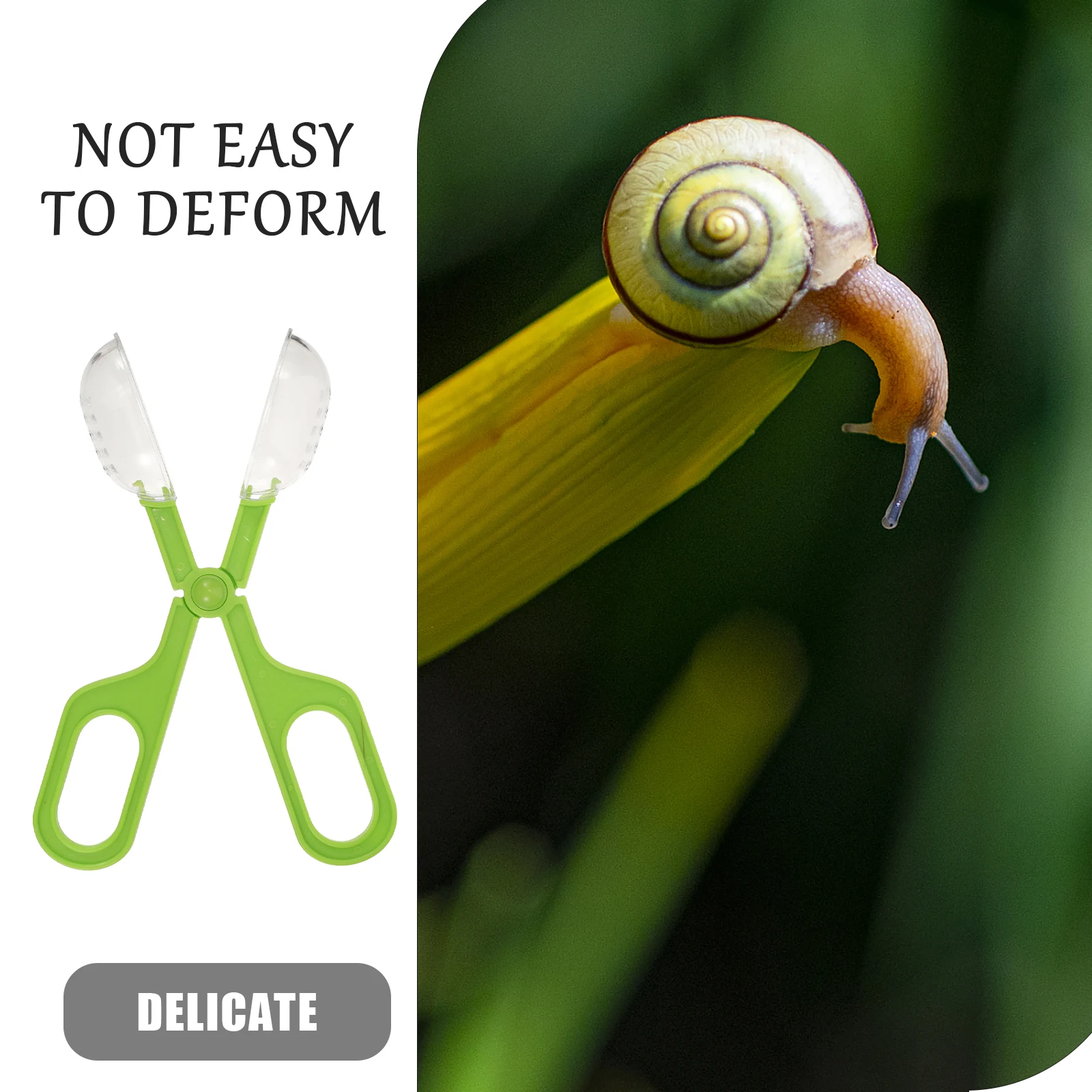 

Cleaning Clamp Plastic Multifunctional Insects Catcher For Reptile Feeding Fish Aquariums Poop Scoop Outdoor Catching Tool