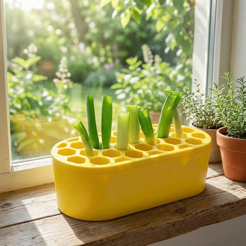 Water Reservoir Base Hydroponic Planting Pots Multifunctional Plastic Planting Basket Nursery Pots Breathable
