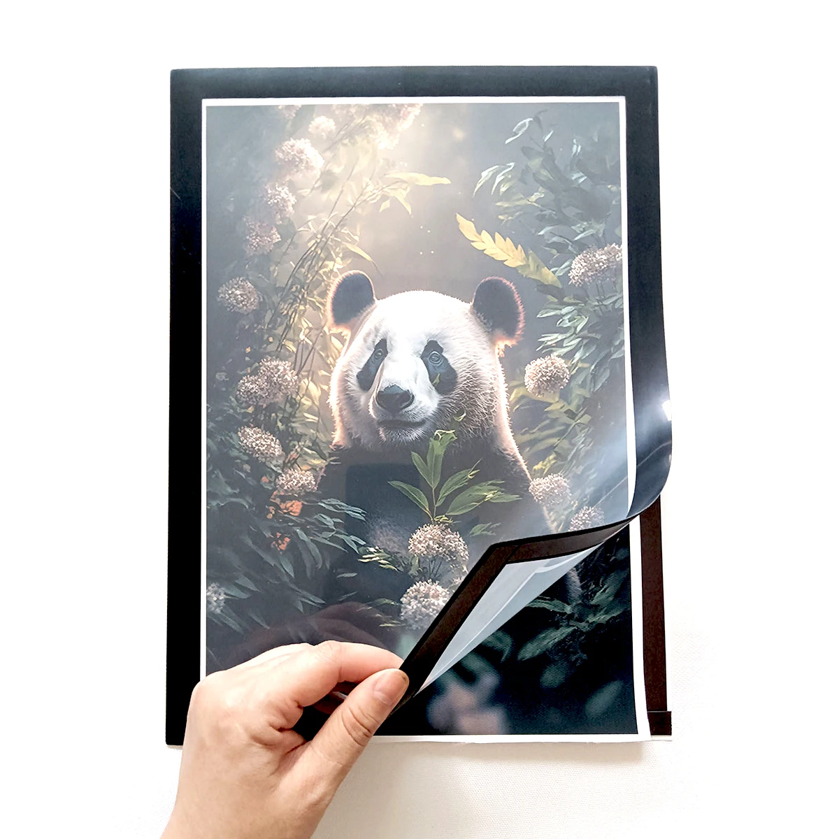 Thumbnail 2 - #9 Cheap Award Certificates Worth Buying