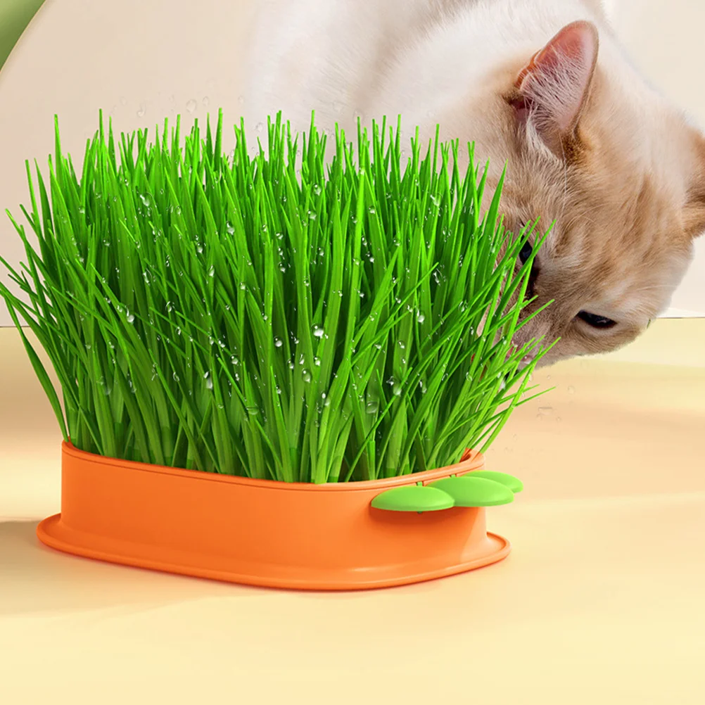 3 Pcs Cartoon Carrot Cat Snacks Mint Planting Hydroponic Feeding Grass Box 3pcs Tray for Home Pets Cats Catnip Planter