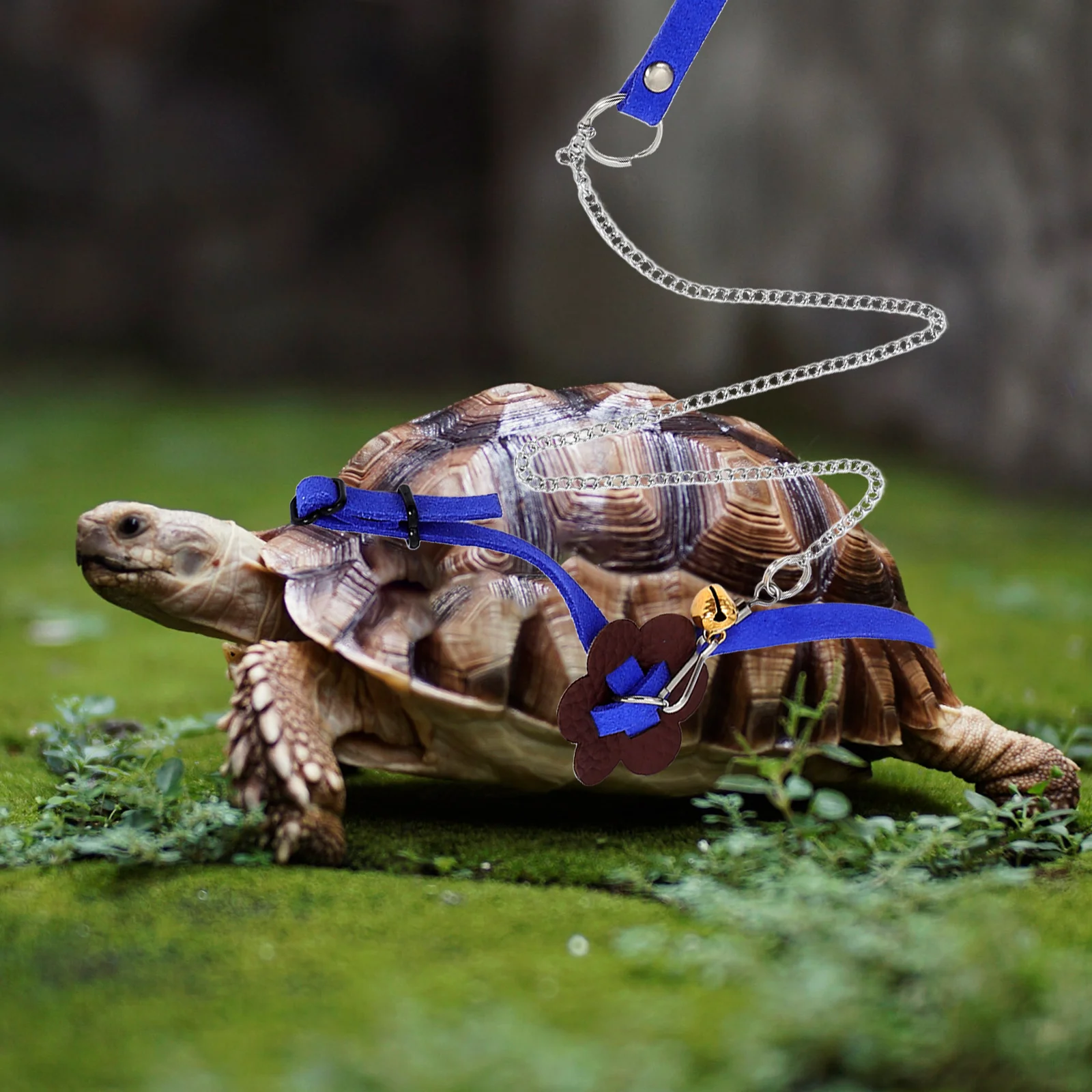 

Turtle Leash Supplies Pet Pulling Rope Walking Pulling Korean Hauling Rope Durable Adjustable Gifts For Tortoise