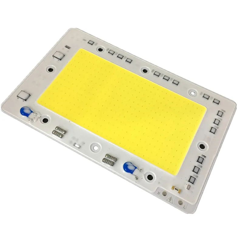 5054 Series LED Lamp Chip 50W 100W 150W AC 110V 220V Input Smart IC Driver Fit for DIY LED Floodlight Spotlight White Warm White