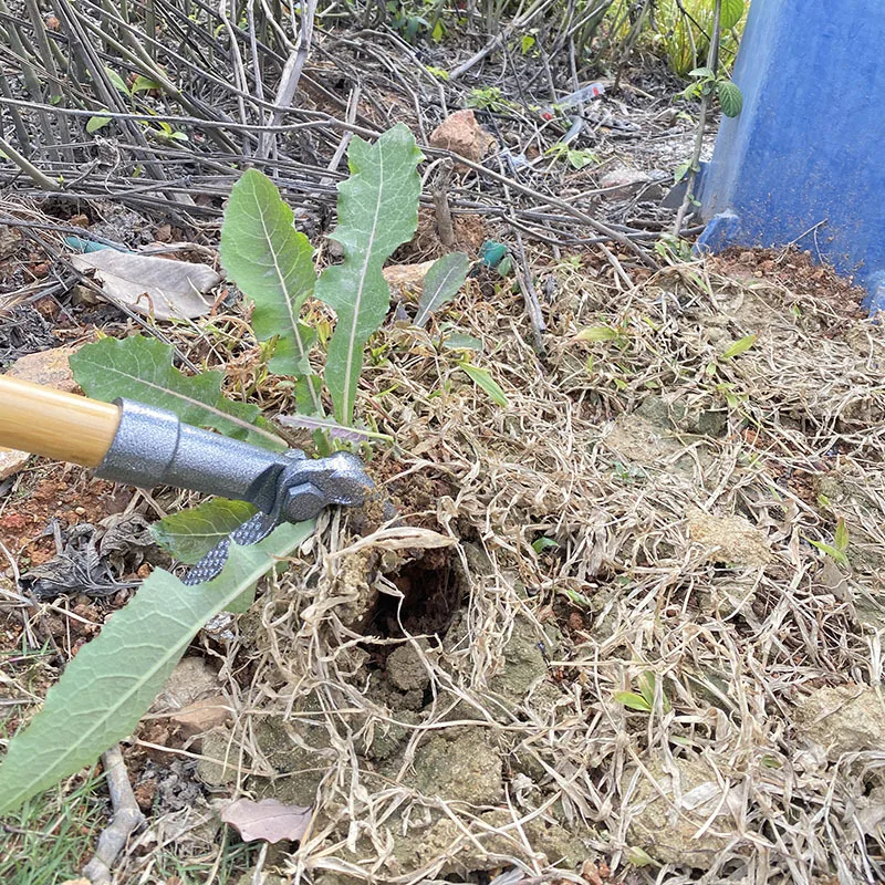 Imagem -04 - Portátil Iron Weed Extrator com Pedal Ferramenta Removível Garra Weeder Removedor de Raiz Ferramentas de Jardim ao ar Livre