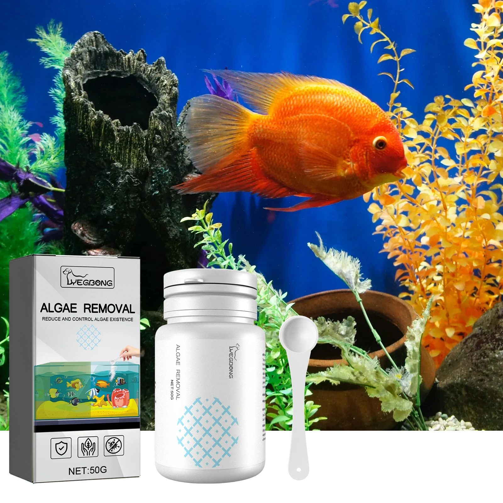 Algenentfernung, schnelles Ent – Marine Aquarium Bacteria Bewertung und Preis