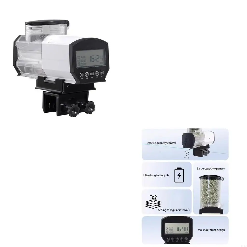 Fishes Dispenser 6 …