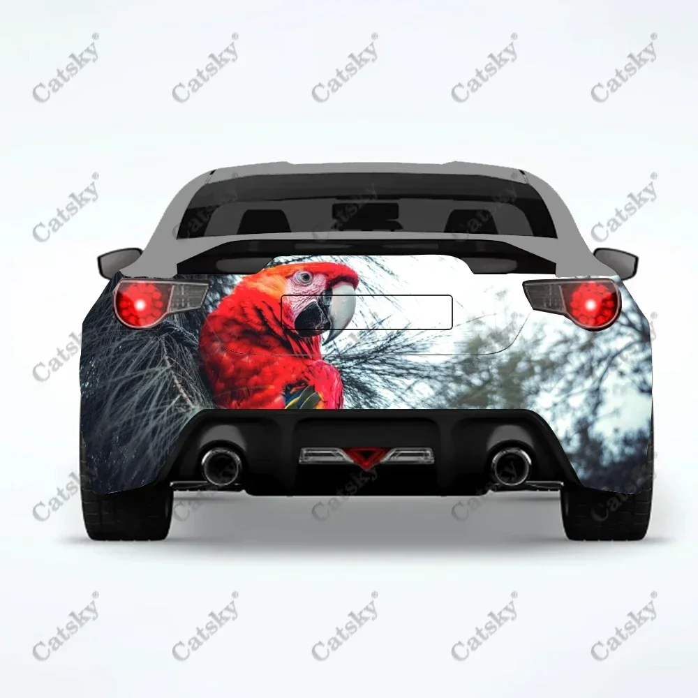 Parrot animal Car sticker rear car rear appearance modification package suitable for car truck sticker