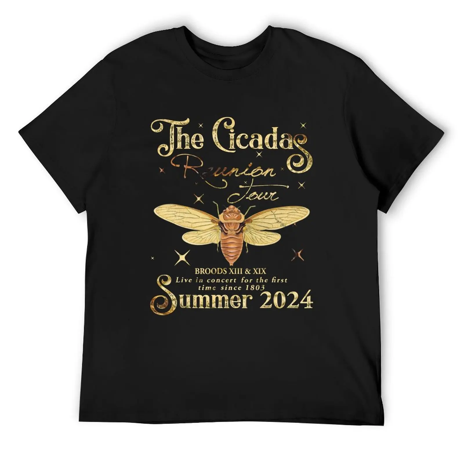 Funny The Cicadas Reunion Tour Summer 2024 T-Shirt anime figures essential t shirt cotton t shirt men