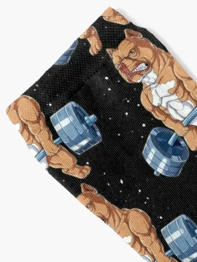 Pit Bull Weightlifting Funny Deadlift Men Fitness Gym Gifts Socks winter happy Christmas Socks For Girls Men's