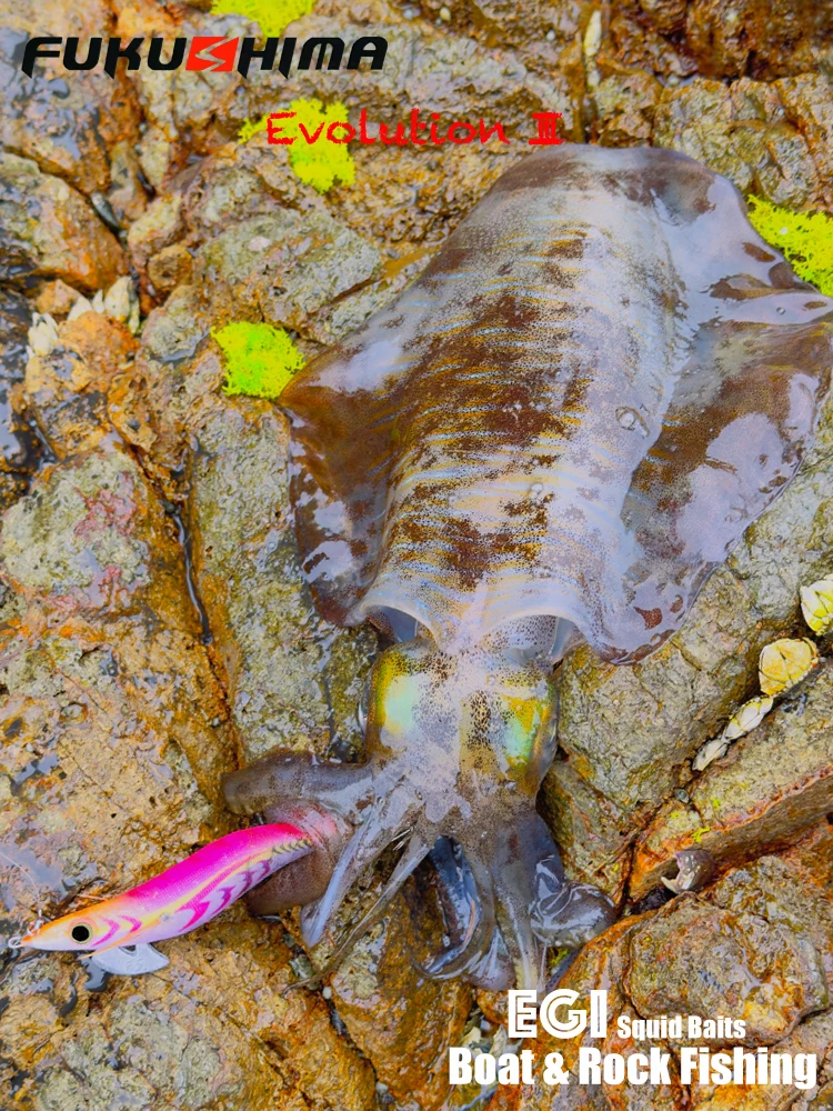FUKUSHIMAZEECK3.5 SQUID JIG EVOLUTION EGI LURE FISHING WOOD SHRIMP BAIT FLASH BODY EYES & TAIL GLOW SHARP HOOKS 21GRAM EBI-SOUND – Detail 15