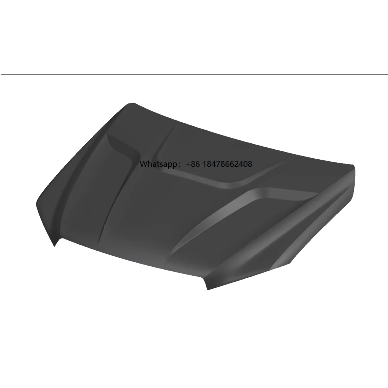 

D-MAX Electrophoresis Process Engine Hood