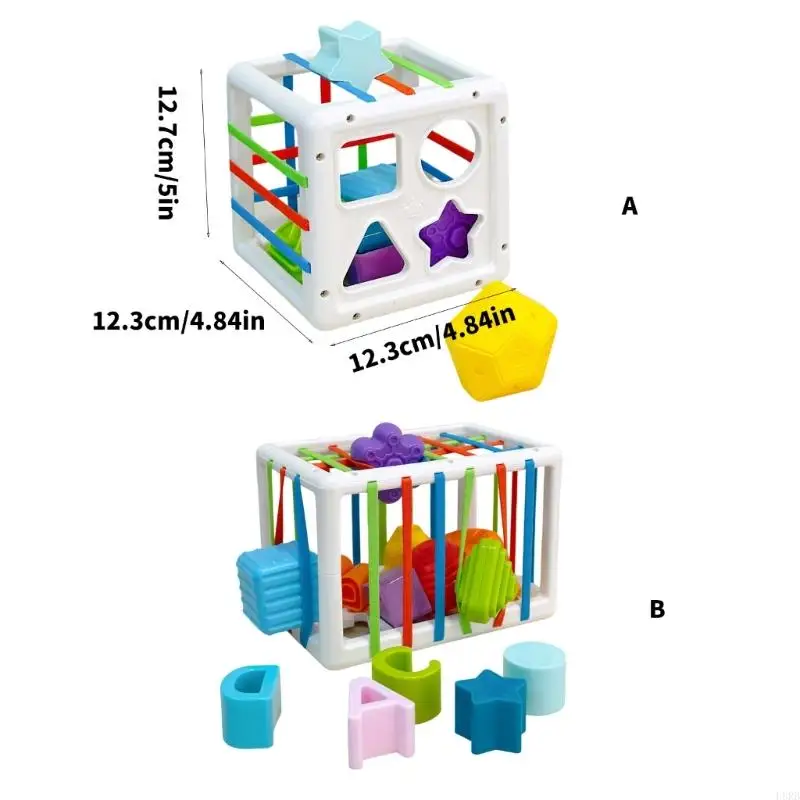 Sorti ordinamento del giocattolo arcobaleno Colore cognitivo Attività sviluppo cognitivo giocattolo per il bambino L8RB