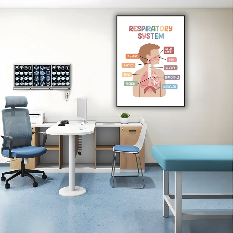 

Human Respiratory System Medical Biology Knowledge Education Canvas Poster Wall Art Lab Classroom Hospital Wall Decor Unframed